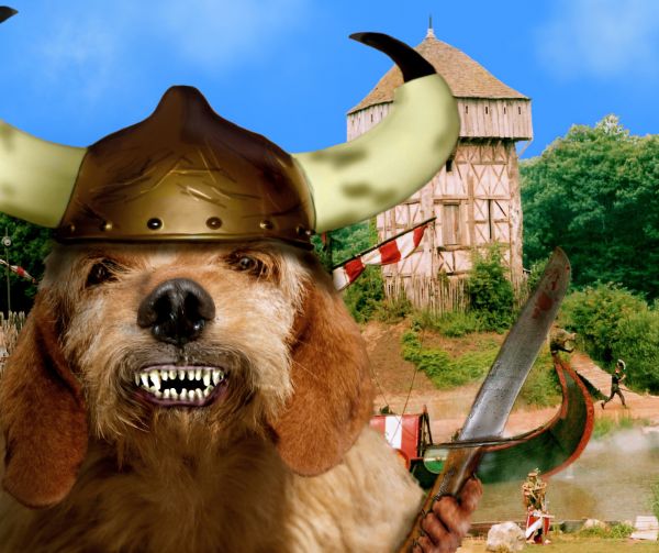 Creation of Pillaging Viking Canine : Final Result